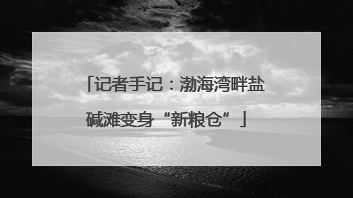 记者手记：渤海湾畔盐碱滩变身“新粮仓”