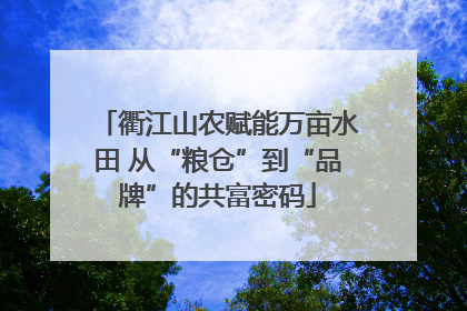 衢江山农赋能万亩水田 从“粮仓”到“品牌”的共富密码