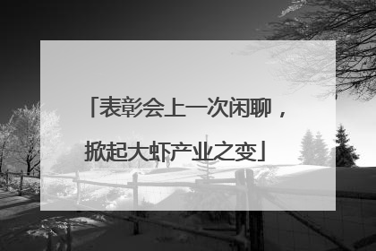 表彰会上一次闲聊，掀起大虾产业之变