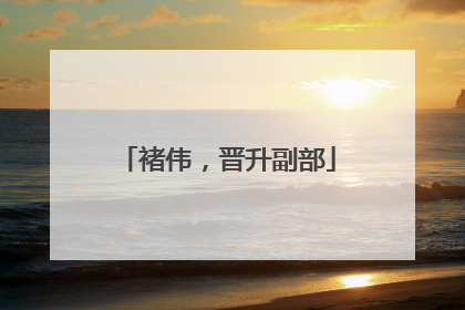 褚伟，晋升副部