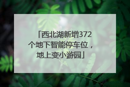 西北湖新增372个地下智能停车位，地上变小游园