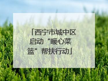 西宁市城中区 启动“暖心菜篮”帮扶行动