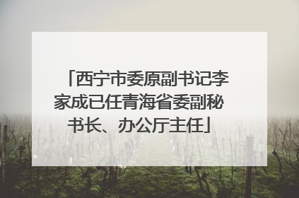 西宁市委原副书记李家成已任青海省委副秘书长、办公厅主任