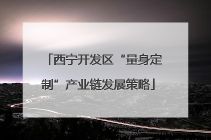 西宁开发区“量身定制”产业链发展策略
