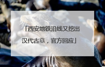 西安地铁沿线又挖出汉代古墓，官方回应