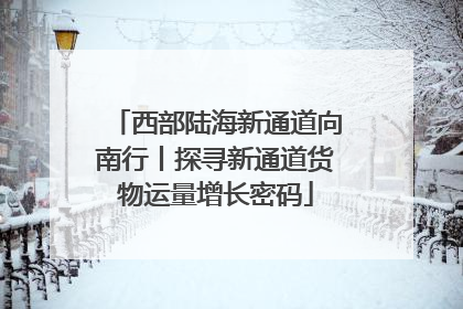 西部陆海新通道向南行丨探寻新通道货物运量增长密码