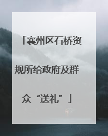 襄州区石桥资规所给政府及群众“送礼”