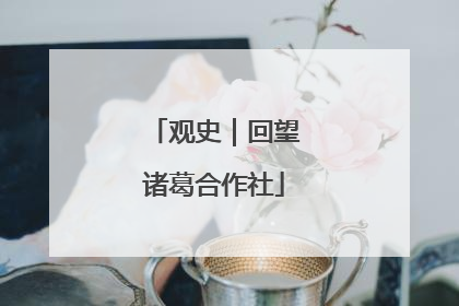 观史｜回望诸葛合作社