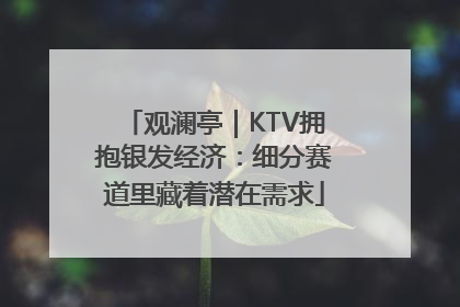 观澜亭｜KTV拥抱银发经济：细分赛道里藏着潜在需求