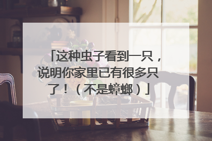 这种虫子看到一只，说明你家里已有很多只了！（不是蟑螂）