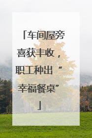 车间屋旁喜获丰收，职工种出“幸福餐桌”