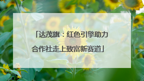 达茂旗：红色引擎助力合作社走上致富新赛道