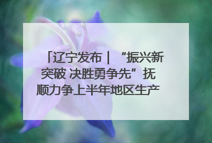 辽宁发布｜“振兴新突破 决胜勇争先”抚顺力争上半年地区生产总值增长7%左右
