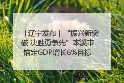 辽宁发布｜“振兴新突破 决胜勇争先”本溪市锚定GDP增长6%目标推进十项重点工作