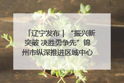 辽宁发布｜“振兴新突破 决胜勇争先”锦州市纵深推进区域中心城市建设 打造高质量发展新增长极
