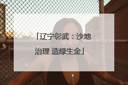 辽宁彰武：沙地治理 造绿生金