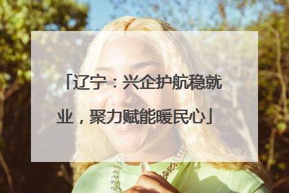 辽宁：兴企护航稳就业，聚力赋能暖民心