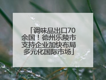 调味品出口70余国！德州乐陵市支持企业加快布局多元化国际市场