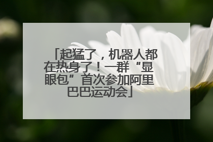 起猛了，机器人都在热身了！一群“显眼包”首次参加阿里巴巴运动会