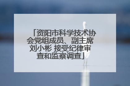 资阳市科学技术协会党组成员、副主席刘小彬 接受纪律审查和监察调查