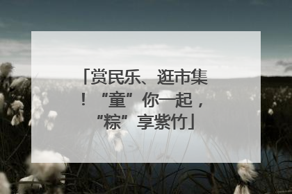 赏民乐、逛市集！“童”你一起，“粽”享紫竹
