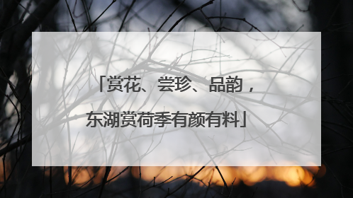 赏花、尝珍、品韵，东湖赏荷季有颜有料