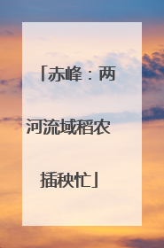 赤峰：两河流域稻农插秧忙