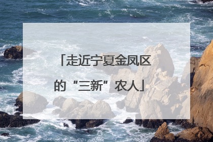 走近宁夏金凤区的“三新”农人
