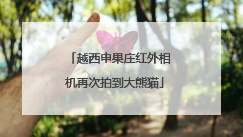 越西申果庄红外相机再次拍到大熊猫
