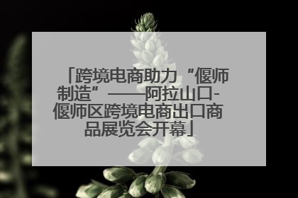 跨境电商助力“偃师制造”——阿拉山口-偃师区跨境电商出口商品展览会开幕