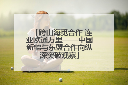 跨山海觅合作 连亚欧通万里——中国新疆与东盟合作向纵深突破观察