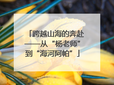 跨越山海的奔赴——从“杨老师”到“海河阿帕”