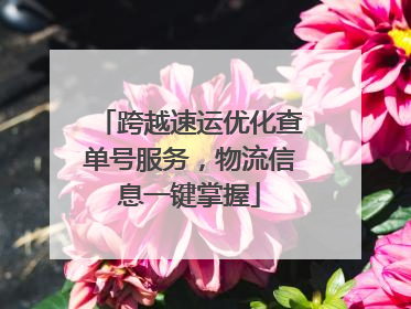 跨越速运优化查单号服务，物流信息一键掌握