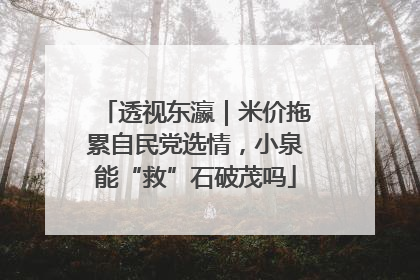 透视东瀛｜米价拖累自民党选情，小泉能“救”石破茂吗