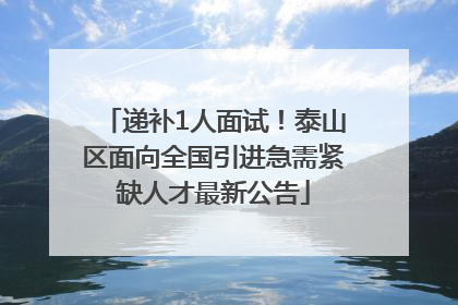 递补1人面试！泰山区面向全国引进急需紧缺人才最新公告