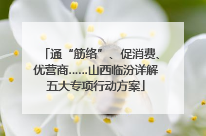 通“筋络”、促消费、优营商……山西临汾详解五大专项行动方案