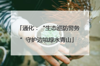 通化：“生态巡防警务”守护边境绿水青山
