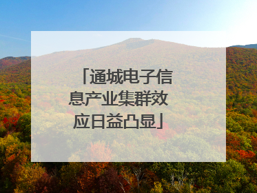 通城电子信息产业集群效应日益凸显