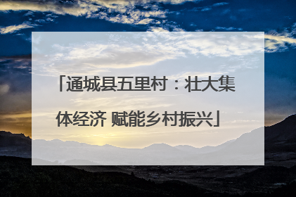 通城县五里村：壮大集体经济 赋能乡村振兴