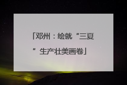 邓州：绘就“三夏”生产壮美画卷
