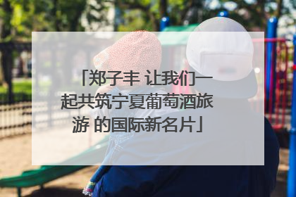 郑子丰 让我们一起共筑宁夏葡萄酒旅游 的国际新名片