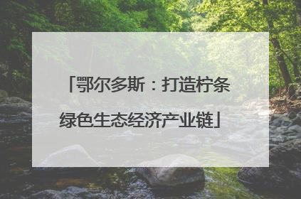 鄂尔多斯：打造柠条绿色生态经济产业链