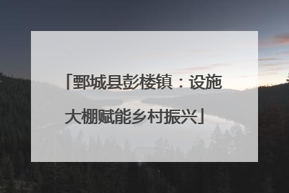 鄄城县彭楼镇：设施大棚赋能乡村振兴