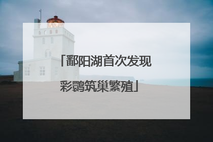 鄱阳湖首次发现彩鹮筑巢繁殖