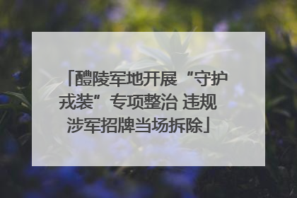 醴陵军地开展“守护戎装”专项整治 违规涉军招牌当场拆除