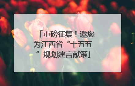 重磅征集！邀您为江西省“十五五”规划建言献策