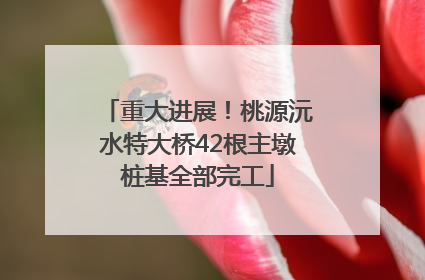 重大进展！桃源沅水特大桥42根主墩桩基全部完工