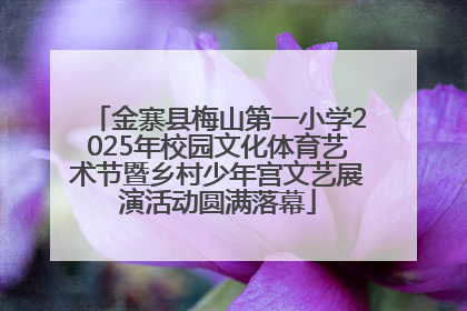 金寨县梅山第一小学2025年校园文化体育艺术节暨乡村少年宫文艺展演活动圆满落幕