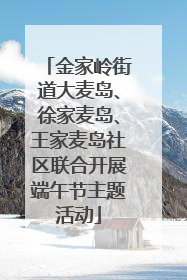 金家岭街道大麦岛、徐家麦岛、王家麦岛社区联合开展端午节主题活动