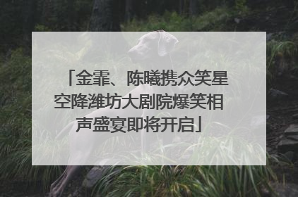 金霏、陈曦携众笑星空降潍坊大剧院爆笑相声盛宴即将开启